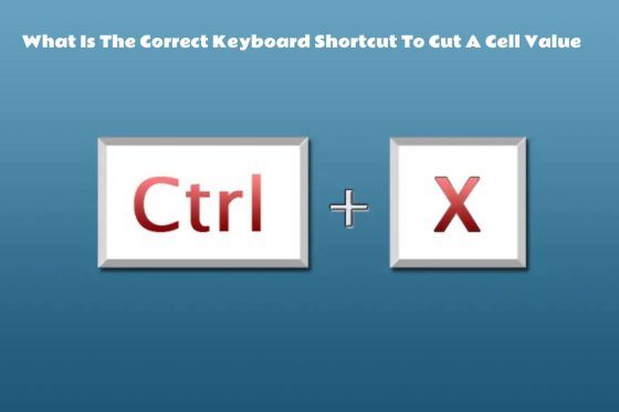 What Is The Correct Keyboard Shortcut To Cut A Cell Value